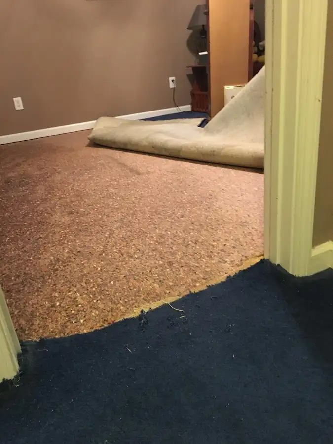 Carpet pad removal revealing water damage during Water Mitigation Services in New Ulm