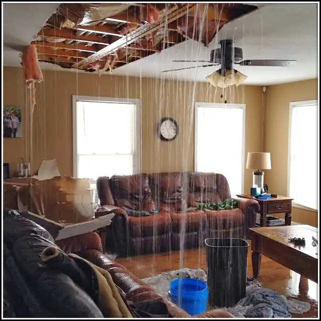 Water Damage Restoration services in New Ulm, MN