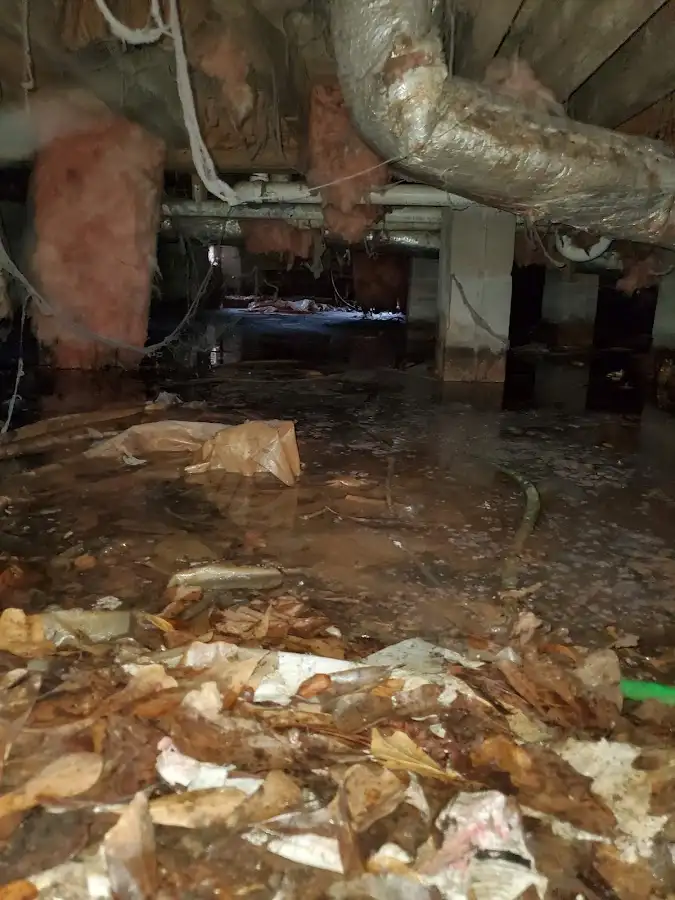 Crawl space flood assessment for Leak Detection & Repair in New Ulm
