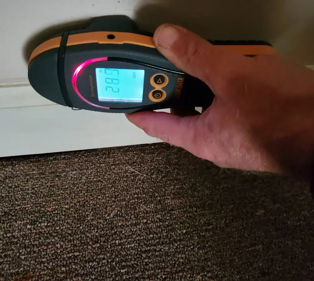 Moisture detection at baseboard during Burst Pipe Cleanup in New Ulm